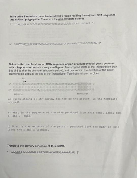 Transcribe Translate These Bacterial Orfs Open Reading Frame From Dna Sequence Into Mrna Polypeptide These Are Th 1