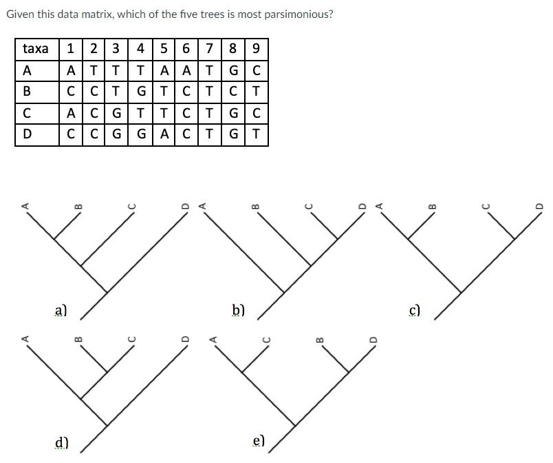 Given This Data Matrix Which Of The Five Trees Is Most Parsimonious Taxa 12 3 4 5 6 Att T Cct Acg Ccg Gac Ab A C D A 1