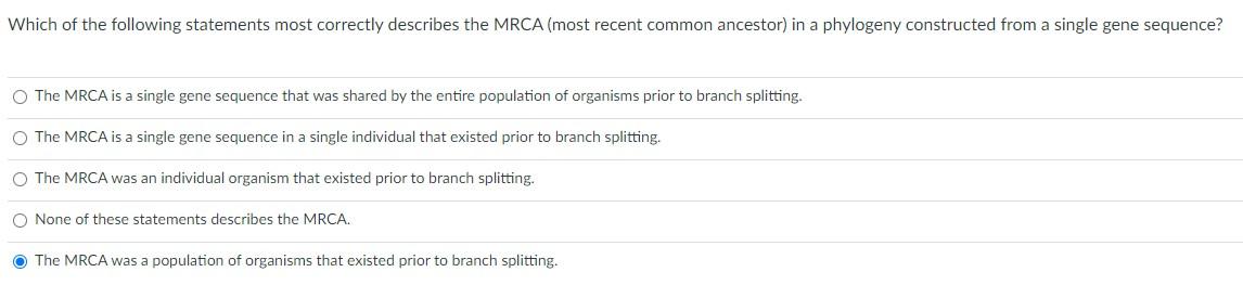 Which Of The Following Statements Most Correctly Describes The Mrca Most Recent Common Ancestor In A Phylogeny Constru 1
