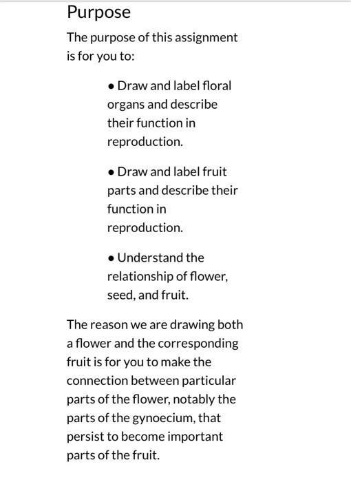 What You Ll Submit You Will Submit A Document That Ovary Anther Stigma Compound Tepal Free Tepal Banana Flower Note You 3