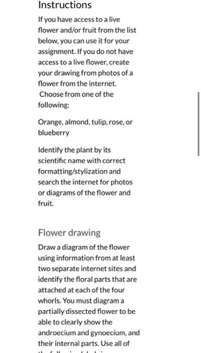 What You Ll Submit You Will Submit A Document That Ovary Anther Stigma Compound Tepal Free Tepal Banana Flower Note You 4