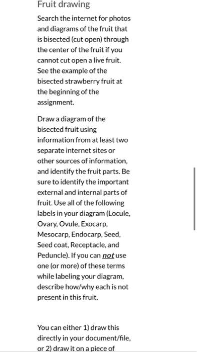 What You Ll Submit You Will Submit A Document That Ovary Anther Stigma Compound Tepal Free Tepal Banana Flower Note You 6