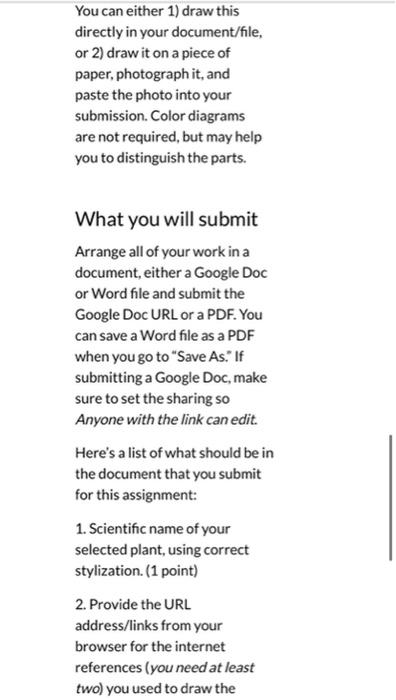 What You Ll Submit You Will Submit A Document That Ovary Anther Stigma Compound Tepal Free Tepal Banana Flower Note You 7
