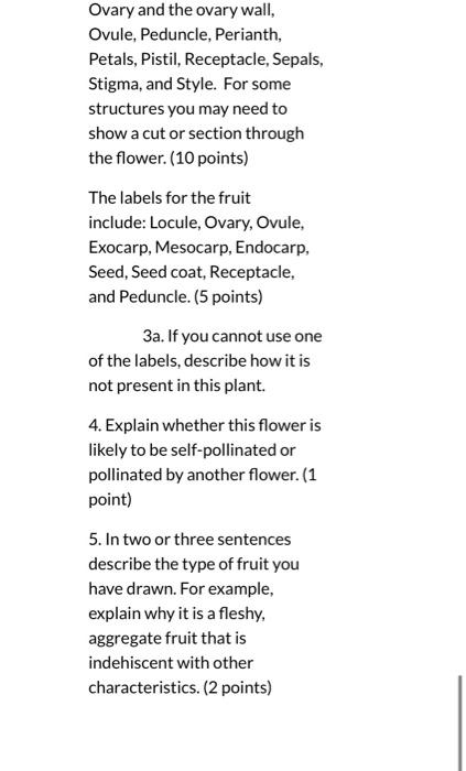 What You Ll Submit You Will Submit A Document That Ovary Anther Stigma Compound Tepal Free Tepal Banana Flower Note You 9