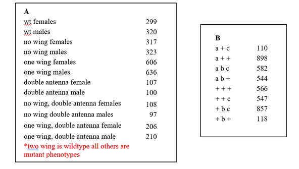 Urgent Genetics Drosophila Assignment Help A Produce A Genetic Hypothesis About The Mode Of Inheritance Of Each Of The 1