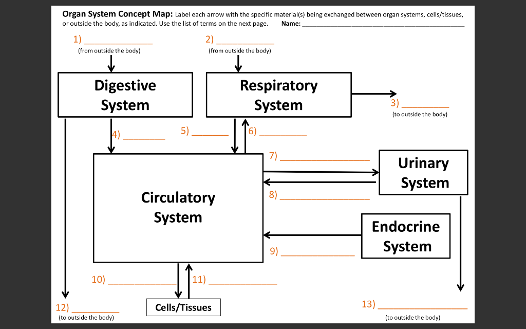 Organ System Concept Map Label Each Arrow With The Specific Material S Being Exchanged Between Organ Systems Cells Ti 1