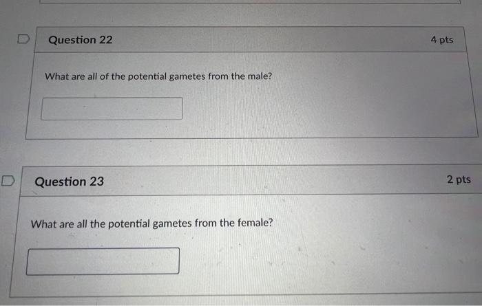 U Assume Rabbit Coat Color And Ear Size Are Controlled By Two Unlinked Genes Each With Two Alleles That Exhibit Complet 2
