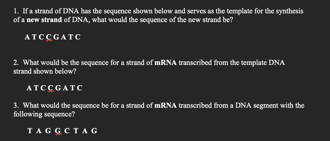 1 If A Strand Of Dna Has The Sequence Shown Below And Serves As The Template For The Synthesis Of A New Strand Of Dna 1