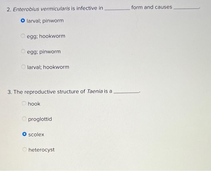 2 Enterobius Vermicularis Is Infective In O Larval Pinworm Egg Hookworm Egg Pinworm Larval Hookworm 3 The Reproduc 1
