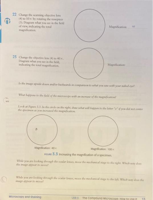 24 Remove The Letter E Slide From The Stage Of Your Microscope Return It To The Same Slide Tray You Had Taken It From 2