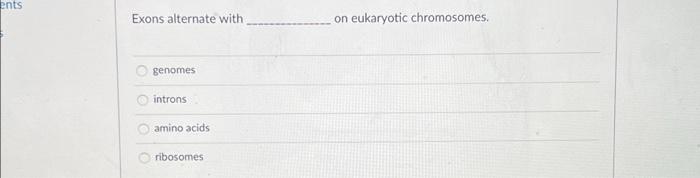 Ents Exons Alternate With O Genomes Introns Amino Acids Ribosomes On Eukaryotic Chromosomes 1