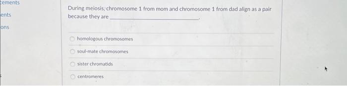 Cements Ents Ons During Meiosis Chromosome 1 From Mom And Chromosome 1 From Dad Align As A Pair Because They Are Ohomo 1
