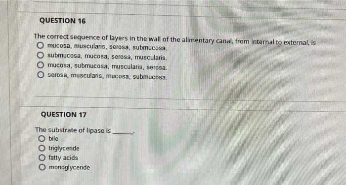 Question 16 The Correct Sequence Of Layers In The Wall Of The Alimentary Canal From Internal To External Is Mucosa Mu 1