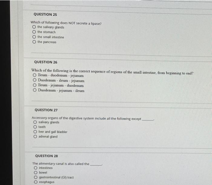 Question 25 Which Of Following Does Not Secrete A Lipase O The Salivary Glands The Stomach The Small Intestine O The Pa 1