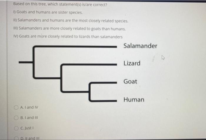 Which Of The Following Statements Is True A Individuals Evolve Over Time Leading To New Species B The Most Fit Indi 4