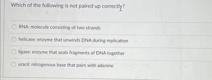 Which Of The Following Is Not Paired Up Correctly Rna Molecule Consisting Of Two Strands Helicase Enzyme That Unwinds 1