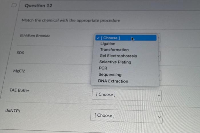 Question 12 Match The Chemical With The Appropriate Procedure Ethidium Bromide Sds Mgcl2 Ddntps Tae Buffer Choose Liga 1