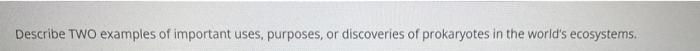 Describe Two Examples Of Important Uses Purposes Or Discoveries Of Prokaryotes In The World S Ecosystems 1
