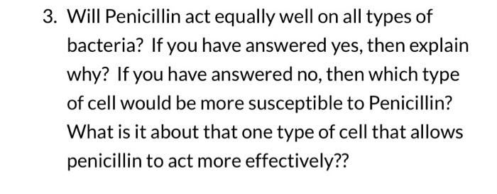 3 Will Penicillin Act Equally Well On All Types Of Bacteria If You Have Answered Yes Then Explain Why If You Have An 1