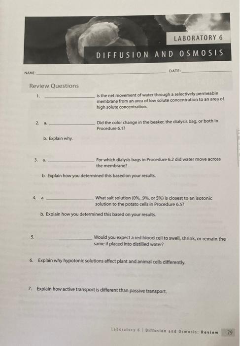 Name Review Questions 1 B Explain Why 3 A Laboratory 6 Diffusion And Osmosis 4 A Is The Net Movement Of Water Th 1