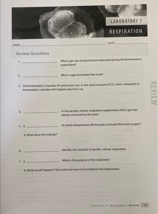Name Review Questions 1 2 5 A 6 B What Does This Indicate 3 Did Fermentation Chamber 3 Yield More Less Or Th 1