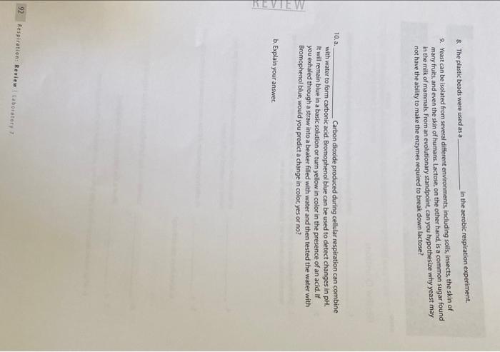 Name Review Questions 1 2 5 A 6 B What Does This Indicate 3 Did Fermentation Chamber 3 Yield More Less Or Th 2