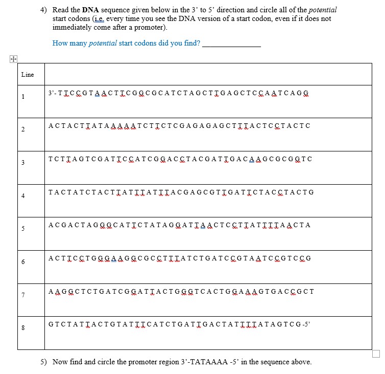 Line 1 2 3 St 5 50 7 8 4 Read The Dna Sequence Given Below In The 3 To 5 Direction And Circle All Of The Potential S 1