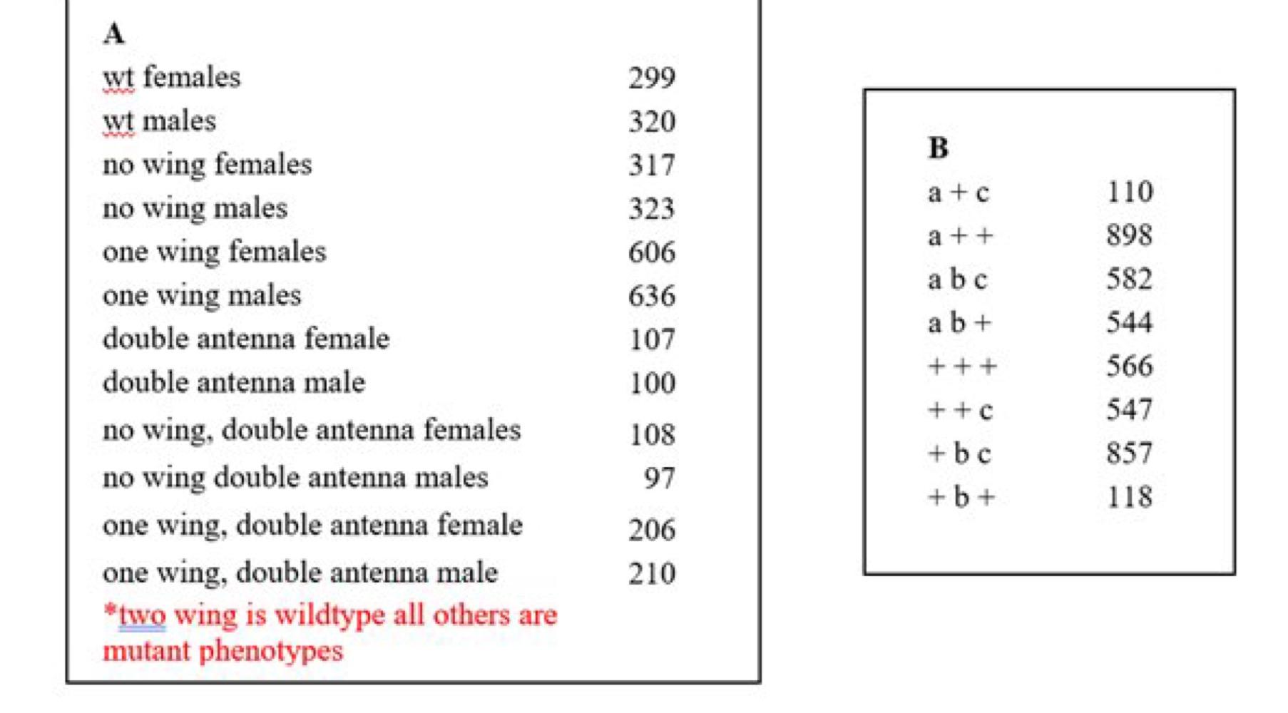Urgent Genetics Mode Of Inheritance If We Look At Drosophila And The Trait For Wings And Antenna And We See The F2 Gene 1