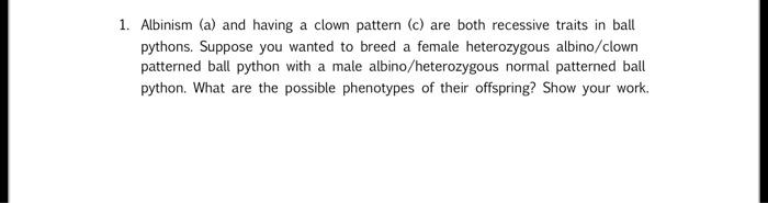 1 Albinism A And Having A Clown Pattern C Are Both Recessive Traits In Ball Pythons Suppose You Wanted To Breed A 1