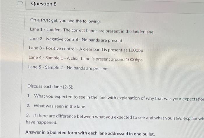0 Question 8 On A Pcr Gel You See The Following Lane 1 Ladder The Correct Bands Are Present In The Ladder Lane Lane 1