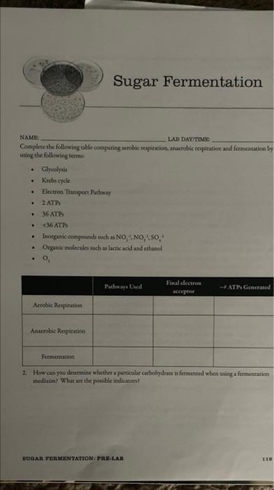 Name Lab Day Time Complete The Following Table Comparing Acrobic Respiration Anaerobic Respiration And Fermentation By 1
