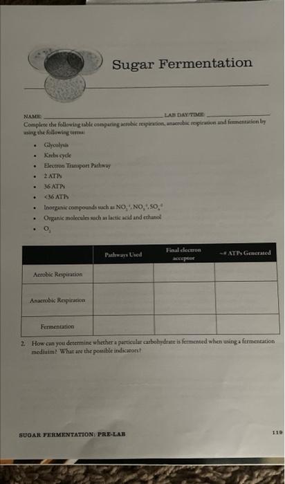 Name Lab Day Time Complete The Following Table Comparing Aerobic Respiration Anaerobic Respiration And Fermentation By 1