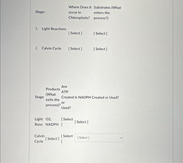 Stage 1 Light Reactions Stage 2 Calvin Cycle Select Products What Exits The Process Calvin Cycle Where Does It S 1