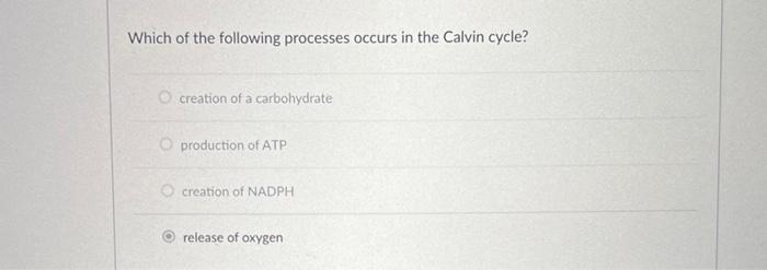 Stage 1 Light Reactions Stage 2 Calvin Cycle Select Products What Exits The Process Calvin Cycle Where Does It S 2