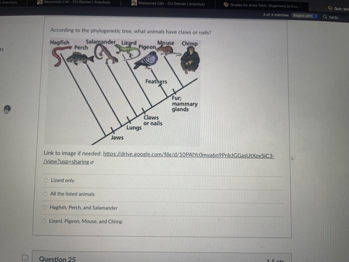 D Question 10 0 6 If An Individual With Genotype Aa Produces 4 Offspring And A Heterozygous Individual Aa Produces 12 3