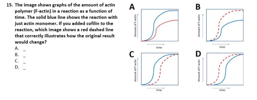 15 The Image Shows Graphs Of The Amount Of Actin Polymer F Actin In A Reaction As A Function Of Time The Solid Blue 1