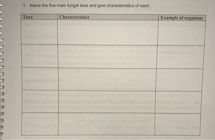 1 Name The Five Main Fungal Taxa And Give Characteristics Of Each Taxa Characteristics Example Of Organism 1