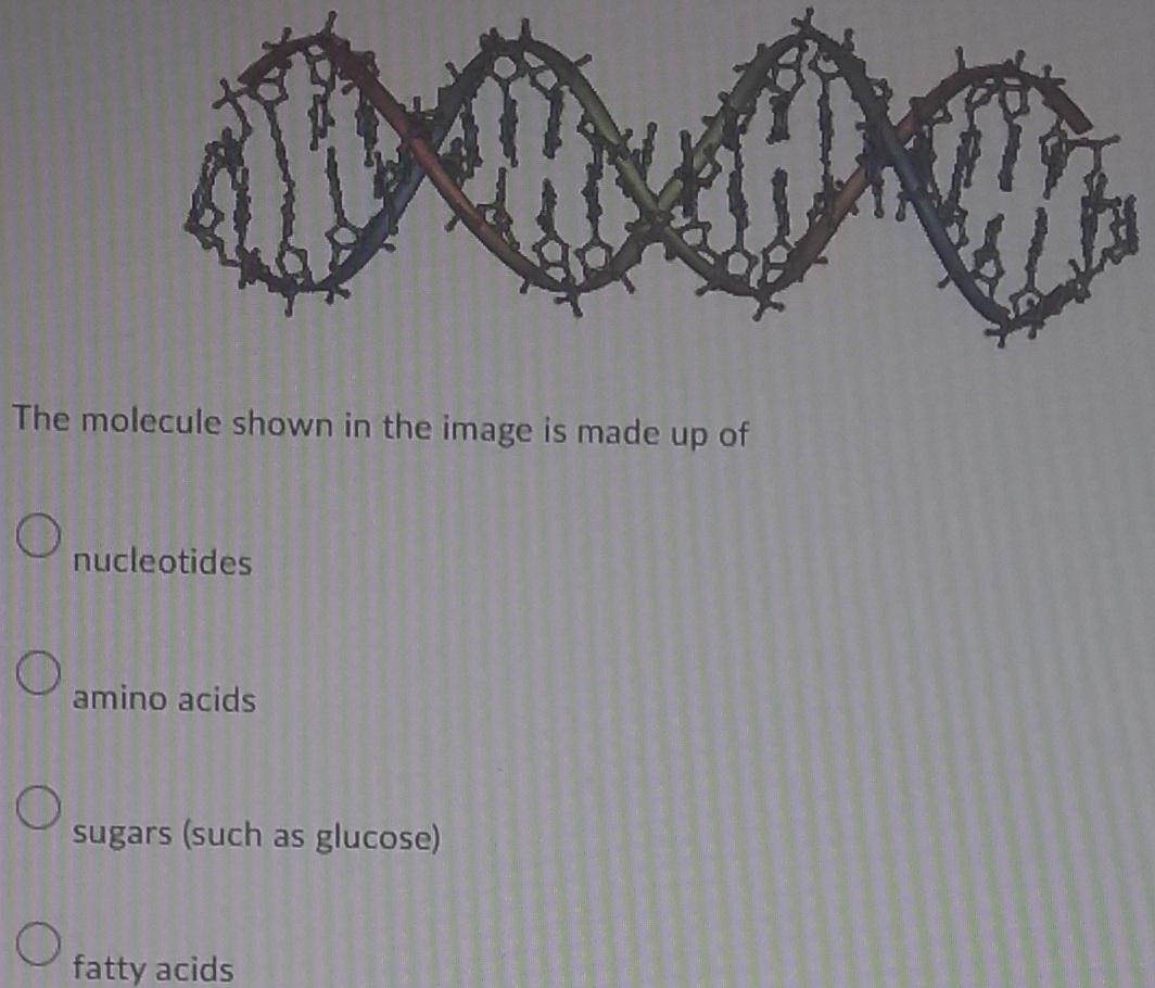 1 The Capillaries That Surround The Large Intestine Are Not Responsible For The Absorption Of A Vitamins B Water C B 1