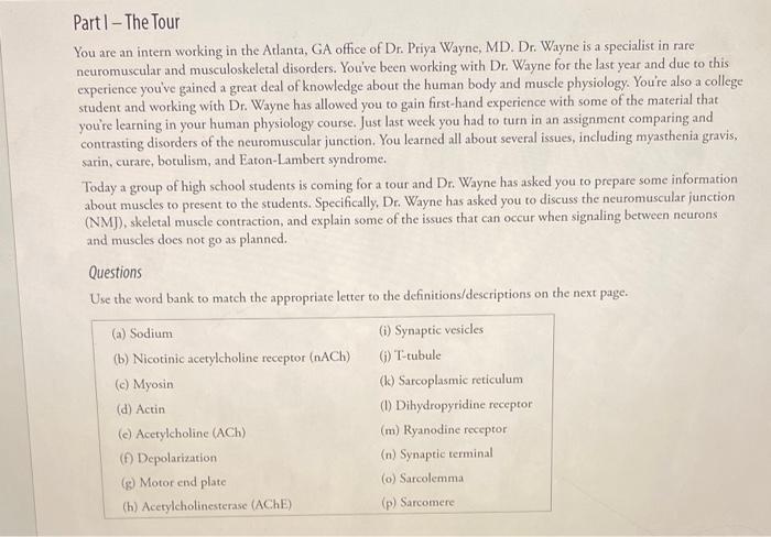 Part 1 The Tour You Are An Intern Working In The Atlanta Ga Office Of Dr Priya Wayne Md Dr Wayne Is A Specialist In 1