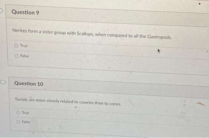 D The Latest Research Indicates That Tonnids And Cowries Are Sister Groups O True O False Question 2 The Turrids And Co 4