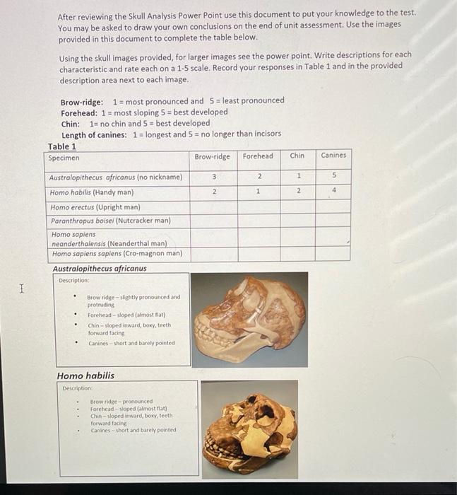 I After Reviewing The Skull Analysis Power Point Use This Document To Put Your Knowledge To The Test You May Be Asked T 1