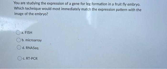 You Are Studying The Expression Of A Gene For Leg Formation In A Fruit Fly Embryo Which Technique Would Most Immediatel 1