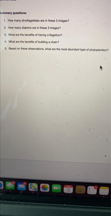 Page Esc Phytoplankton 1 1 What Species Is This 2 How Many Cells Do You See 3 Diatom Or Dinoflagellate Oce1001c 3