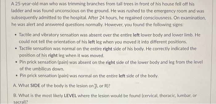 A 25 Year Old Man Who Was Trimming Branches From Tall Trees In Front Of His House Fell Off His Ladder And Was Found Unco 1