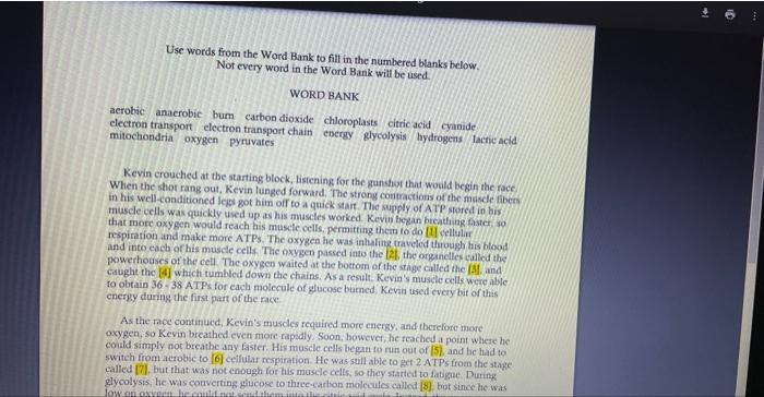 Use Words From The Word Bank To Fill In The Numbered Blanks Below Not Every Word In The Word Bank Will Be Used Word Ban 1