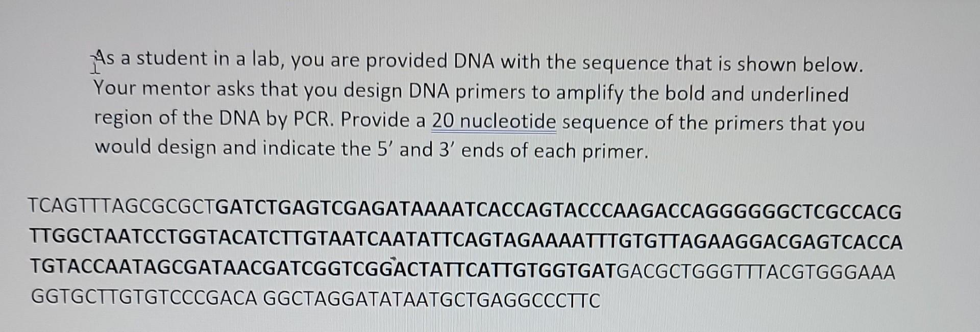 As A Student In A Lab You Are Provided Dna With The Sequence That Is Shown Below Your Mentor Asks That You Design Dna 1