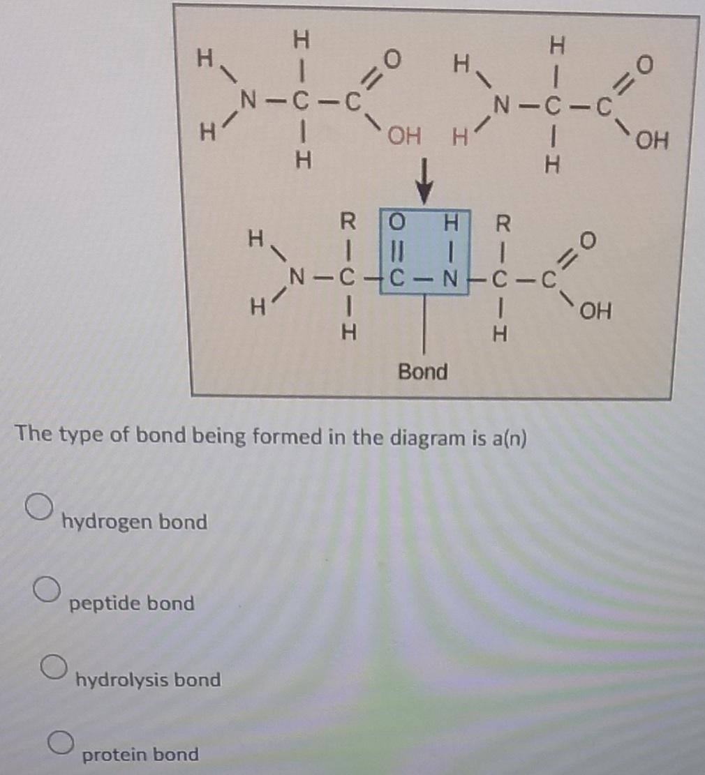 Please Answer The Questions Below 2 1