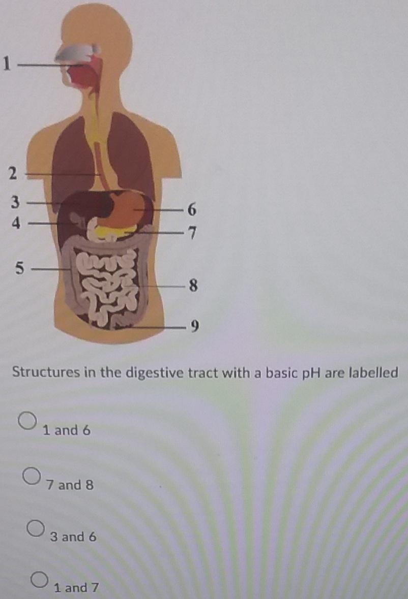 Please Answer The Questions Below 2 2