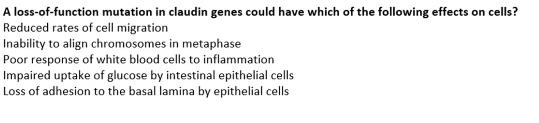 A Loss Of Function Mutation In Claudin Genes Could Have Which Of The Following Effects On Cells Reduced Rates Of Cell M 1