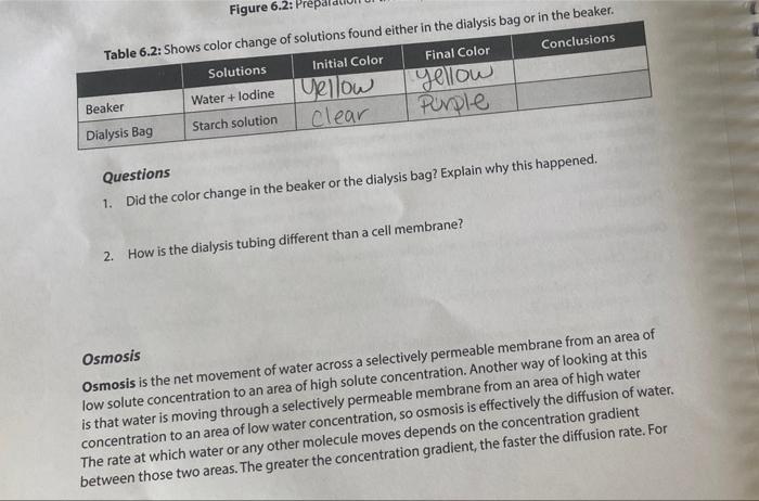 2 A 3 A 4 B Explain Why 5 Did The Color Change In The Beaker The Dialysis Bag Or Both In Procedure 6 1 A For 3